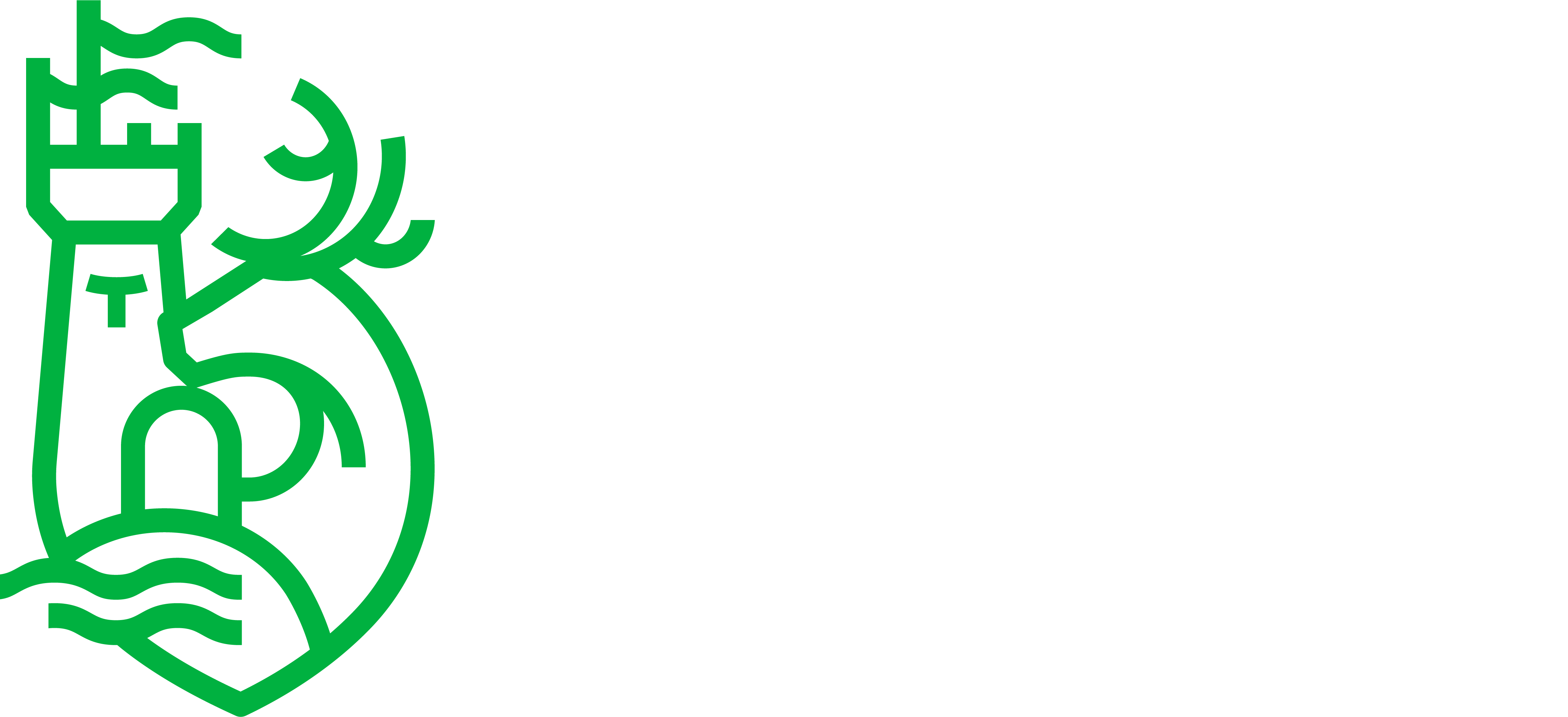 University of Limerick logo in green with the text in white